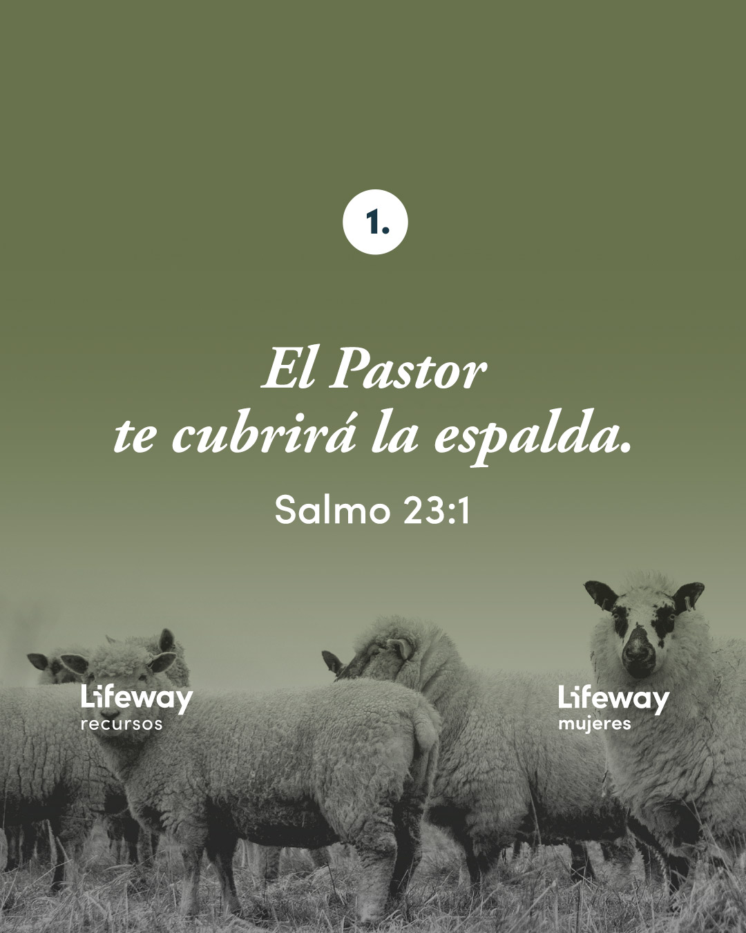 Salmo 23 - Lifeway Recursos